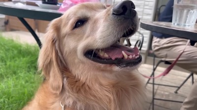 心地いい風にあたりながら…