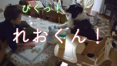 ビックリするれおくん