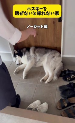 顧問税理士さんが来た