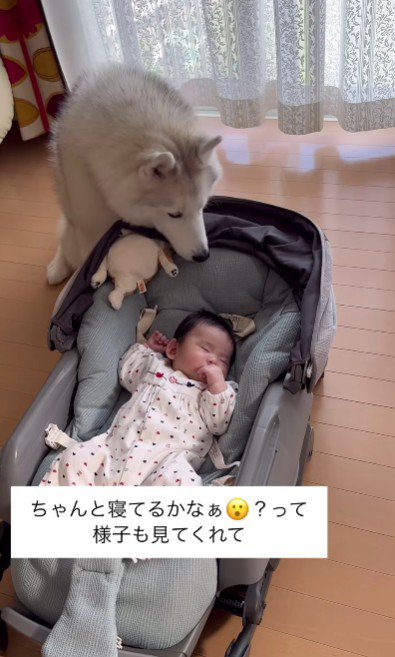 本当の母のよう