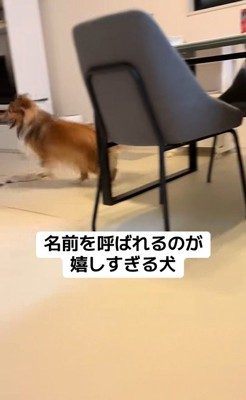 名前を呼ばれた時のリックくん7