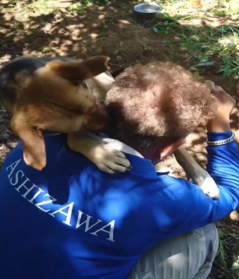 頭に顔を寄せる犬4