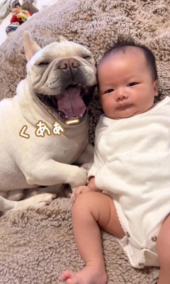 大きなあくび！