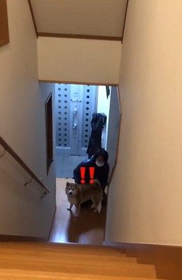 お姉ちゃんに気づいた福ちゃん