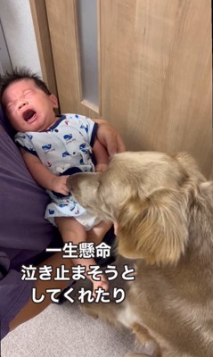 ルルちゃんと赤ちゃん8