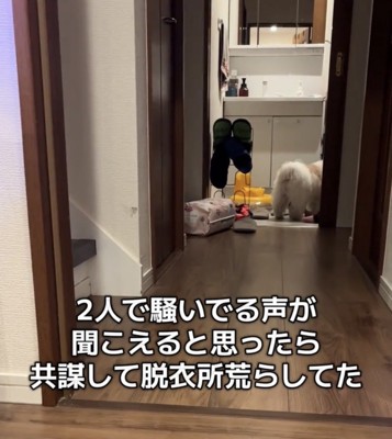 脱衣所の入口が見える廊下