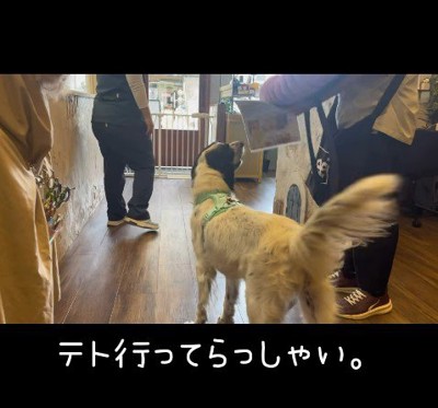 テトくんが幸せを掴むまで⑩