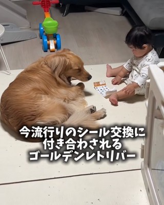 あくびする大型犬