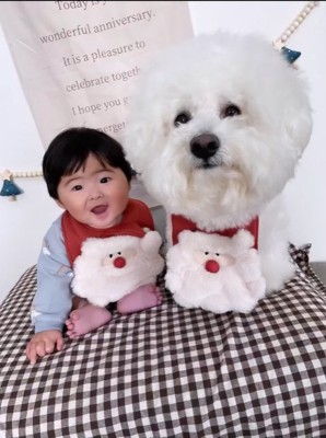 笑顔の赤ちゃんと小型犬