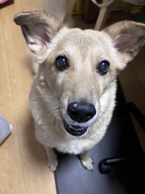 間違えてお父さんに…