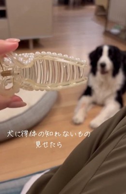 ヘアクリップを見せる投稿主さん