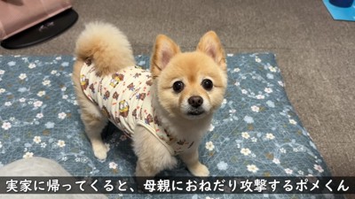 「ばあば、忘れてない…？」