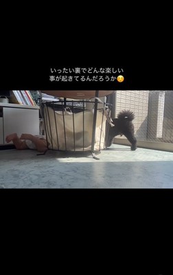 もずく君と赤ちゃん