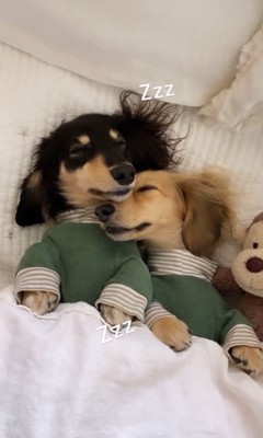 ずっと仲良しでいてね♡