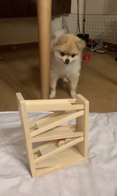 やっぱり見ちゃう