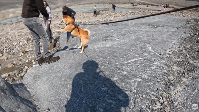 一目惚れして猛アタック♪