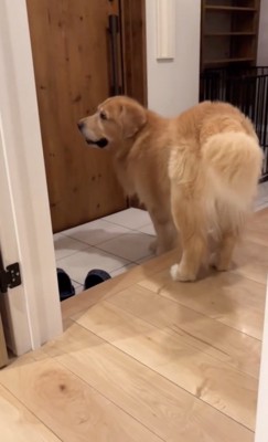 気配を感じる