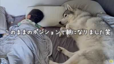 そのまま朝を迎えたよう