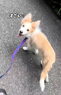 何度も確認するソラくん