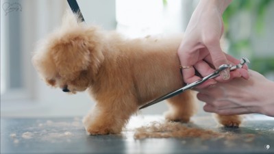 体全体もすっきりと