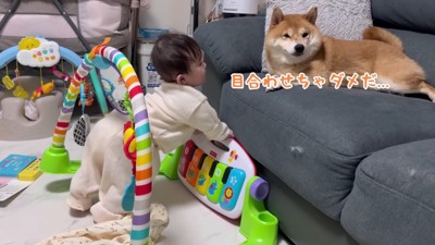 距離を保つうにくん