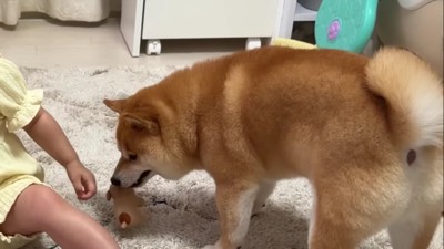 うにくんに奪われた！