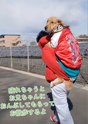 後ろを振り返る犬