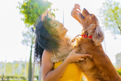 女性と飛びつく犬