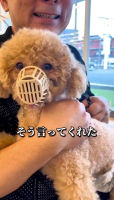 口輪をつけて男性に抱っこされる犬