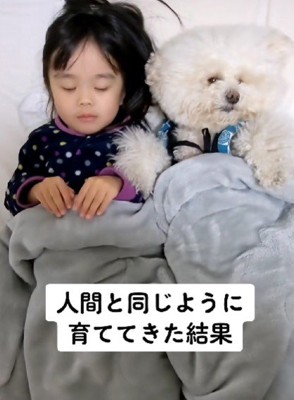 女の子と寝るわんこ