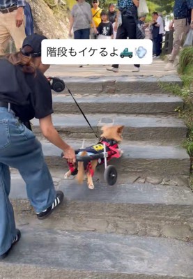 階段も上れます