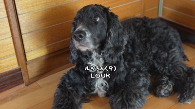 ルーク君に「入る?」と聞いたら…