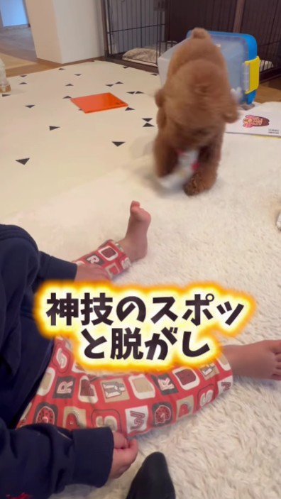 僕が手伝ってあげる！！