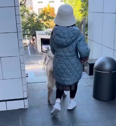 散歩する子供と大型犬