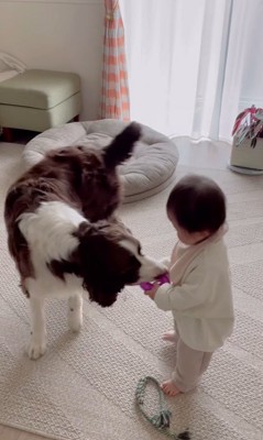 ププくんと娘さん7