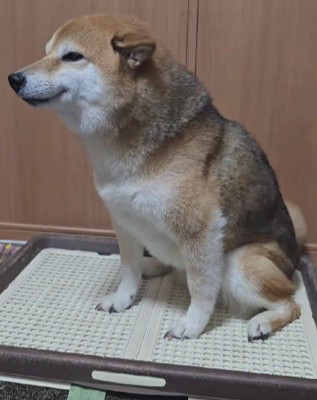 「大好きな人だ!!」
