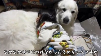犬に寄りかかる子ども