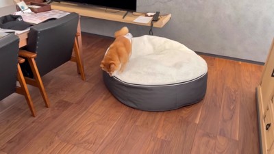 思い出の宿に宿泊