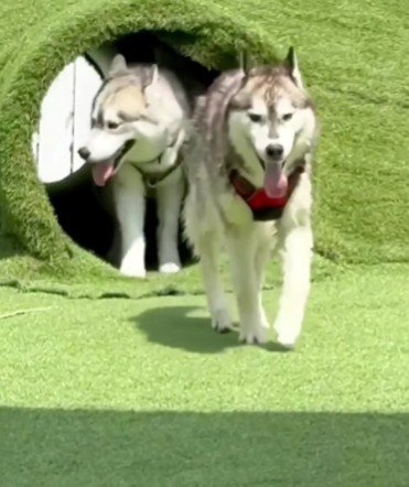 今では毎日楽しい!