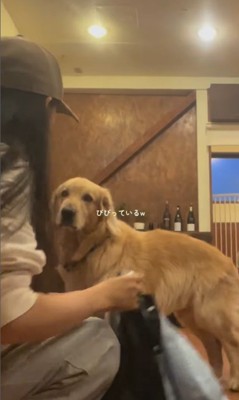 初めてカッパを着たライトくん4