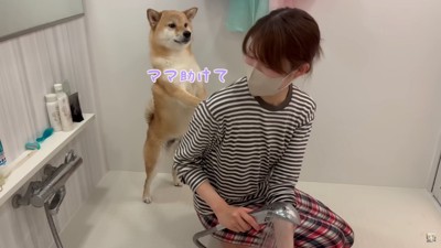 「ママさん…お風呂中止にしよう…」