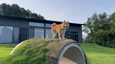 うにくんは自然を満喫