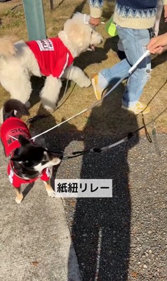 「紙紐リレー」スタート!