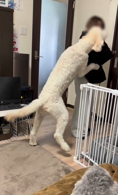 ソラちゃんの熱烈歓迎5