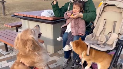 公園で焼き芋を食べました