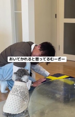 荷造りするお父さん