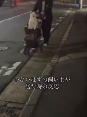いないはずの家族と遭遇