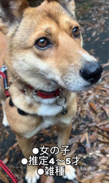 家族として迎えることに