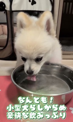 指導の甲斐がありました