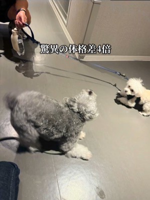 もなかちゃんの成長⑩